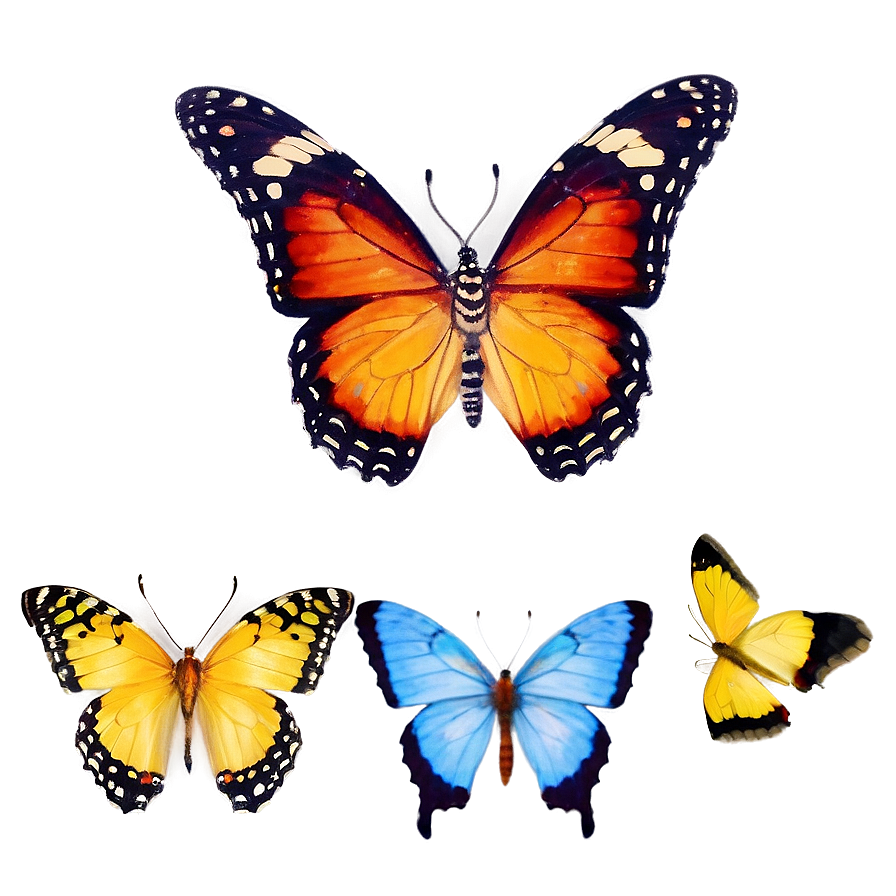 Butterfly Purity Png Wlg49 PNG Image