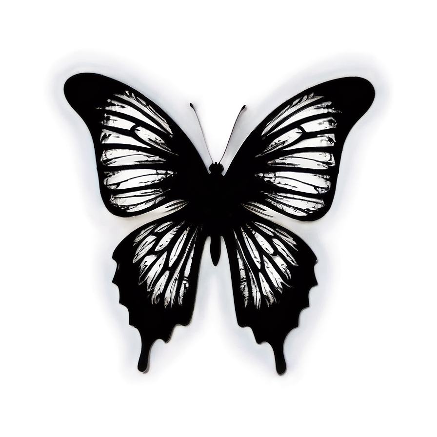 Butterfly Silhouette Outline Png 05252024 PNG Image