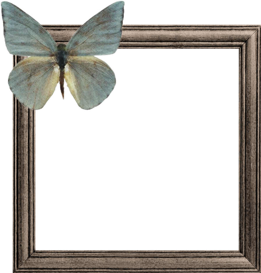 Butterflyon Wooden Frame PNG Image