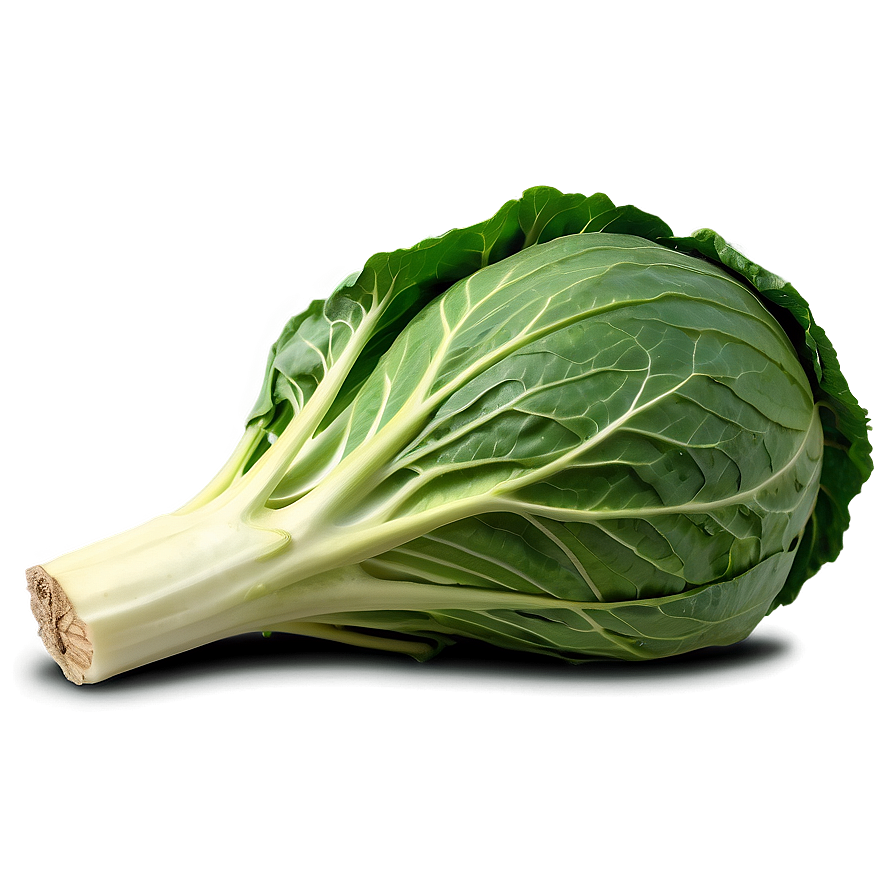 Cabbage Head Png Tqt49 PNG Image