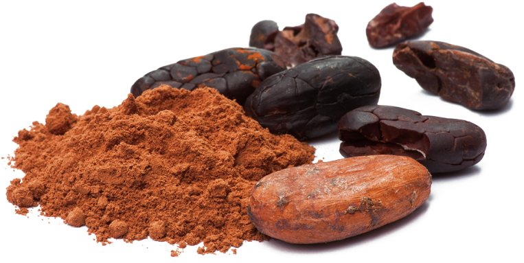 Cacao Beansand Powder PNG Image