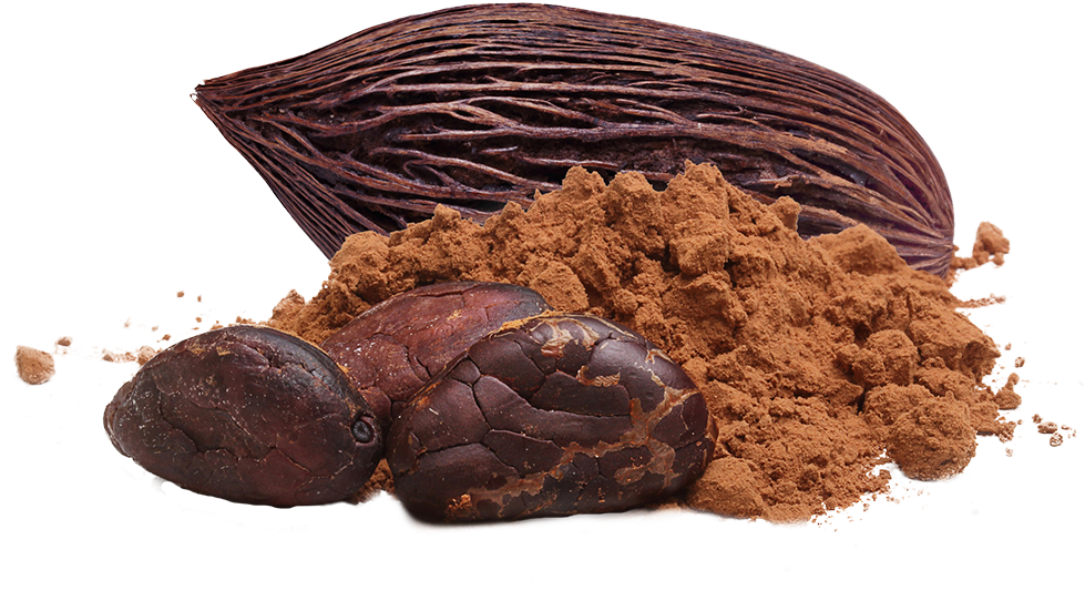 Cacao Podsand Powder PNG Image