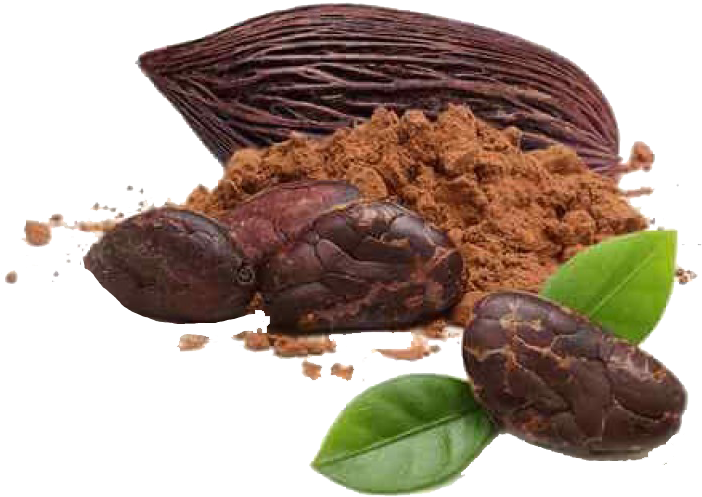 Cacao Podsand Powder PNG Image