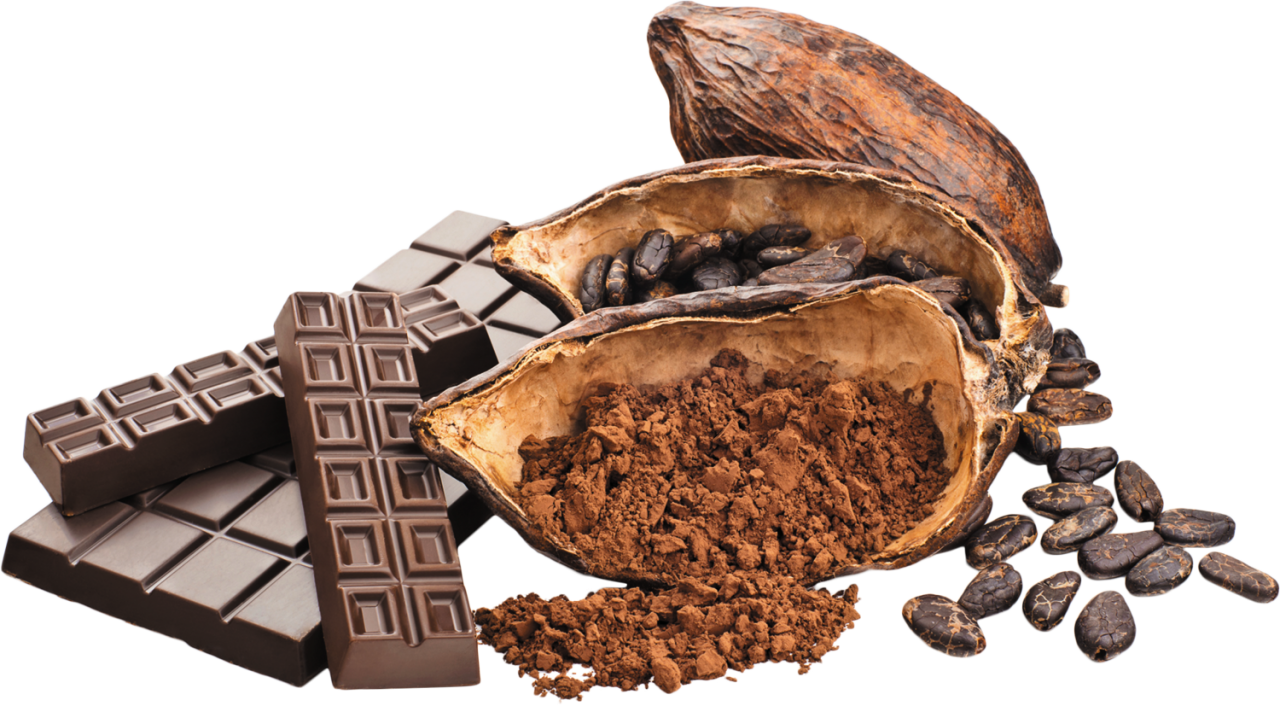 Cacaoto Chocolate Transformation PNG Image