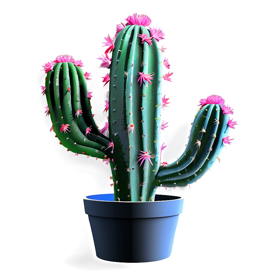 Cactus Plant Png Jke22 PNG Image