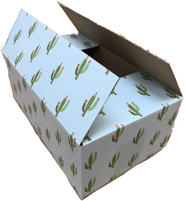 Cactus Print Shipping Box Open PNG Image