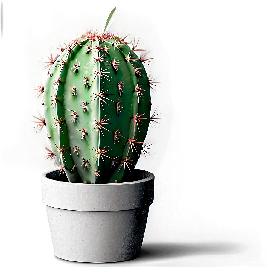 Cactus Theme Png 05032024 PNG Image