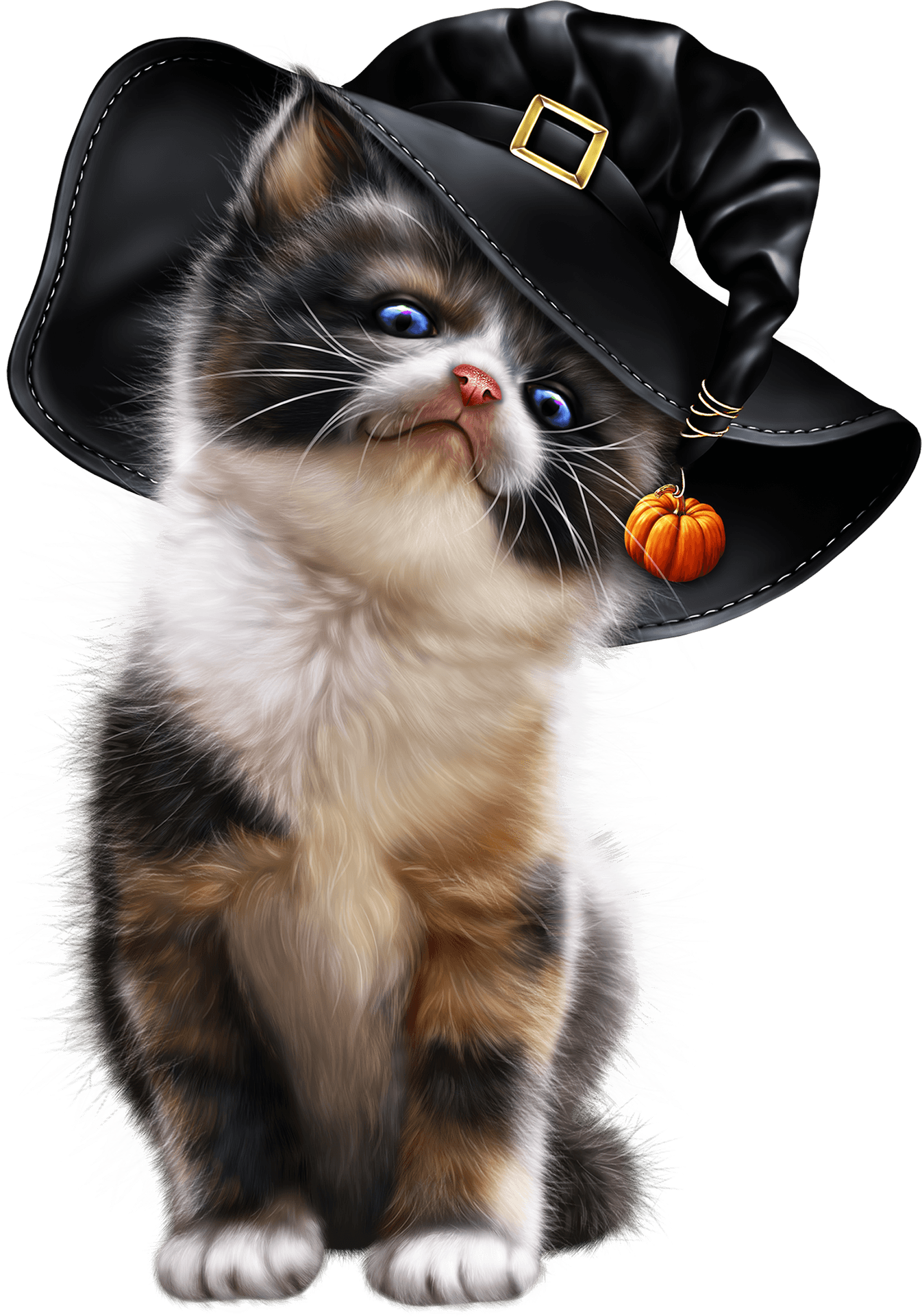 Calico Kittenin Pilgrim Hat PNG Image