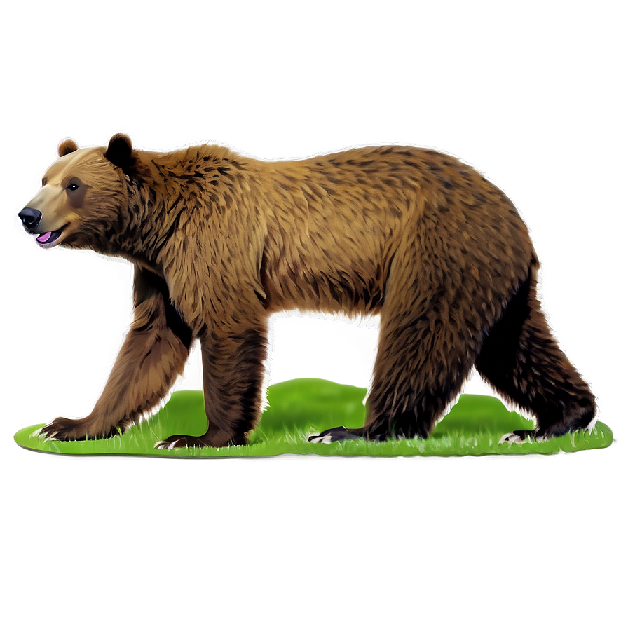 California Coastal Bear Png Phi PNG Image