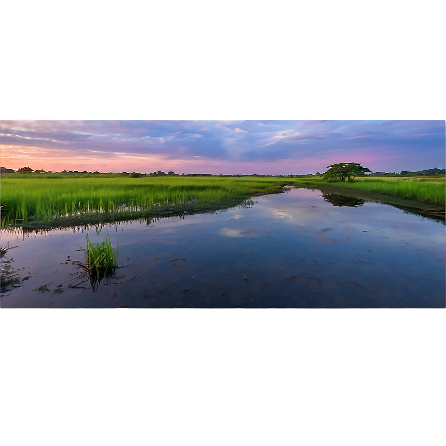 Calm Marshland At Twilight Landscape Png Jvp PNG Image