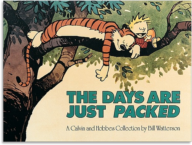 Calvinand Hobbes The Days Are Just Packed PNG Image