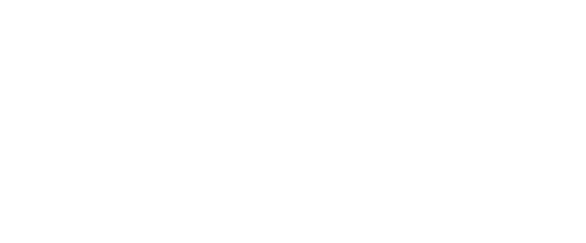 Camel Connections Logo PNG Image