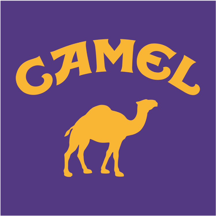 Camel Silhouette Graphic PNG Image