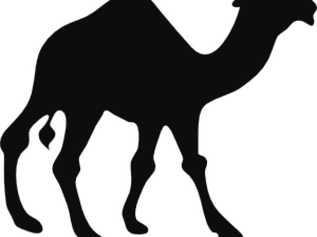 Camel Silhouette Graphic PNG Image