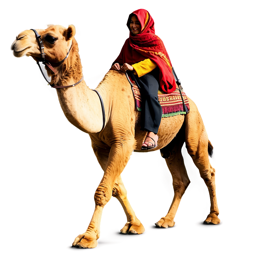 Camel With Rider Png 68 PNG Image