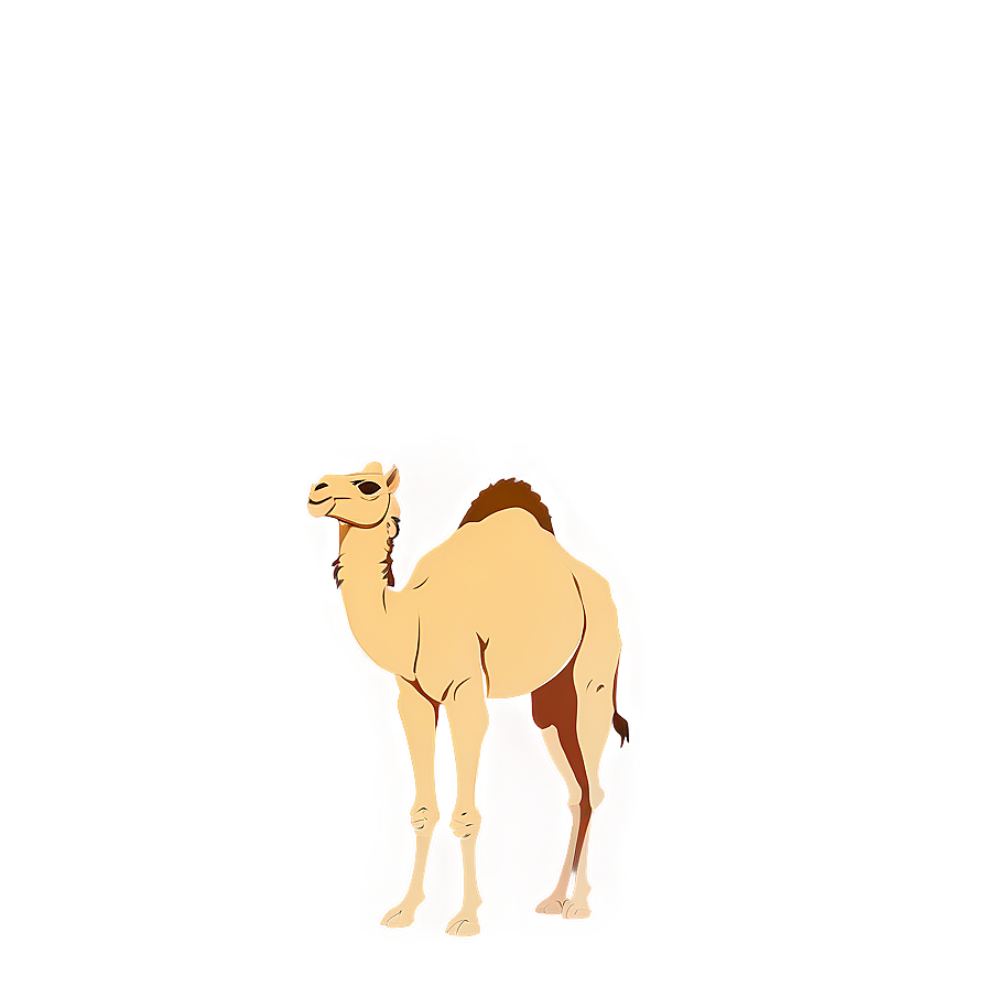 Camel With Sunset Background Png Fnm20 PNG Image