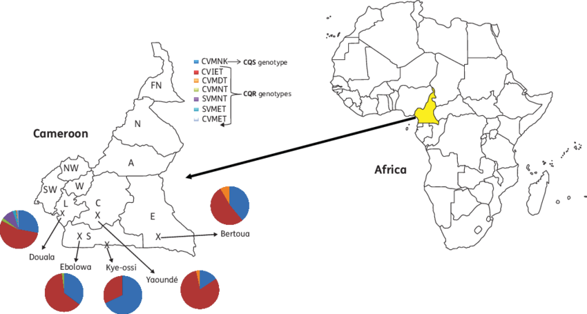 Cameroon Economic Indicators Africa Map PNG Image