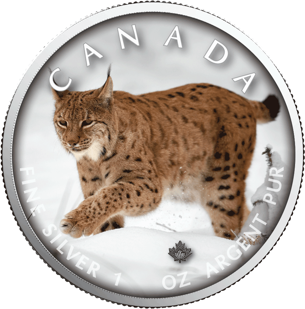 Canadian Lynx Silver Coin PNG Image