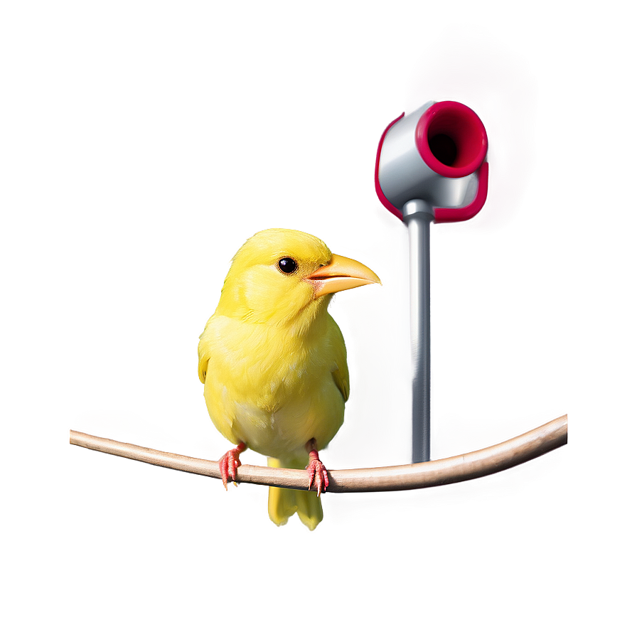 Canary Bird Singing Png Xbx PNG Image