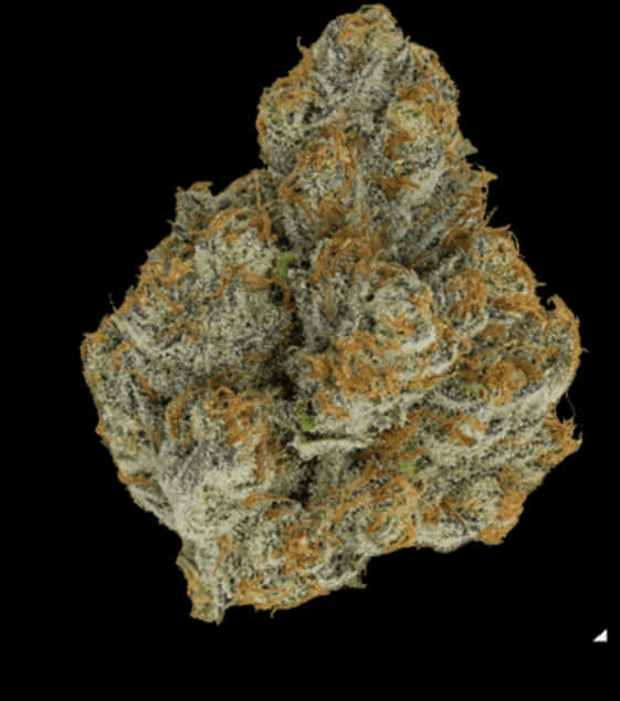 Cannabis Bud Closeup PNG Image