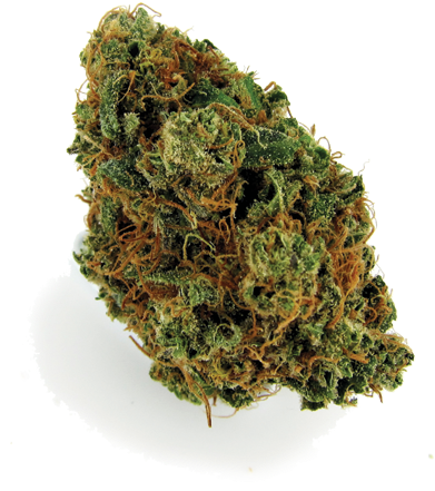 Cannabis Bud Closeup PNG Image