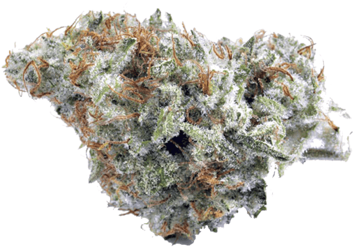 Cannabis Bud Closeup PNG Image