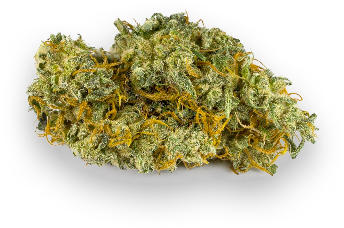 Cannabis Bud Closeup PNG Image