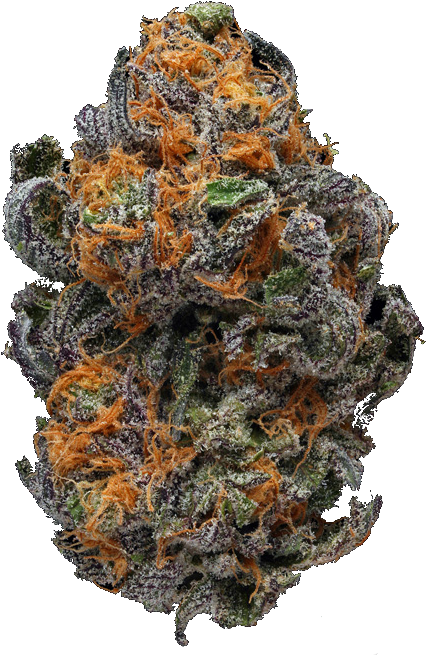 Cannabis Bud Closeup.png PNG Image