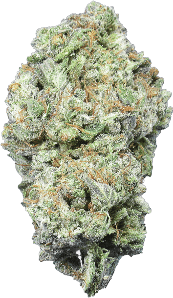 Cannabis Bud Closeup.png PNG Image