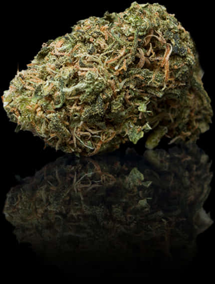 Cannabis Bud Closeup PNG Image