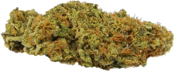 Cannabis Bud Closeup PNG Image