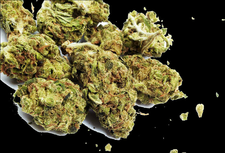 Cannabis Buds Isolated Background PNG Image