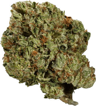 Cannabis Flower Closeup PNG Image