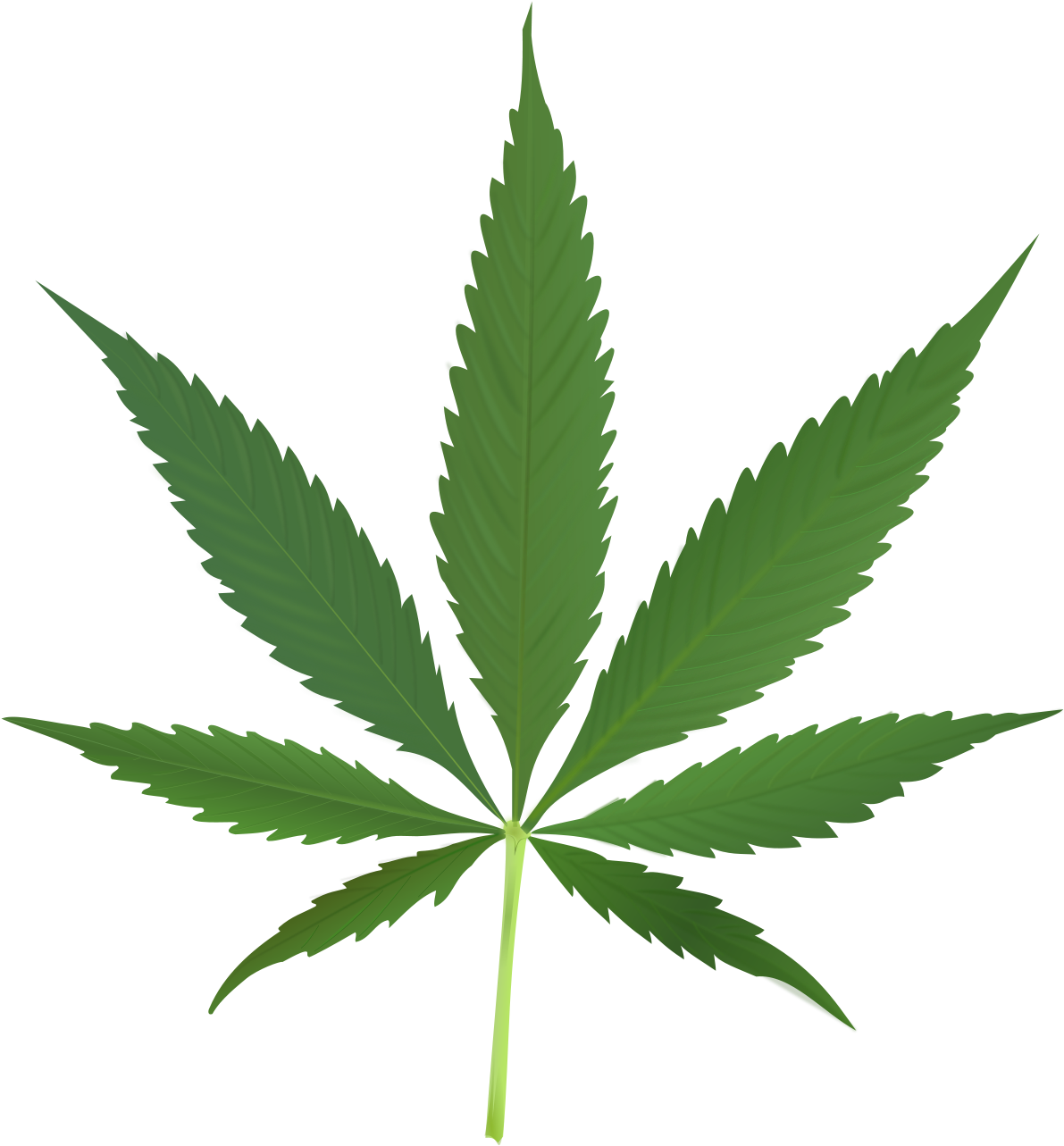 Cannabis Leaf Graphic PNG Image