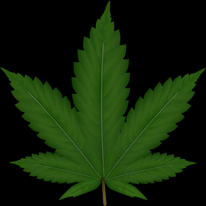 Cannabis Leaf Graphic PNG Image