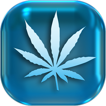 Cannabis Leaf Icon PNG Image