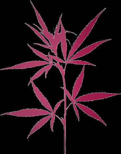 Cannabis Leaf Silhouette PNG Image