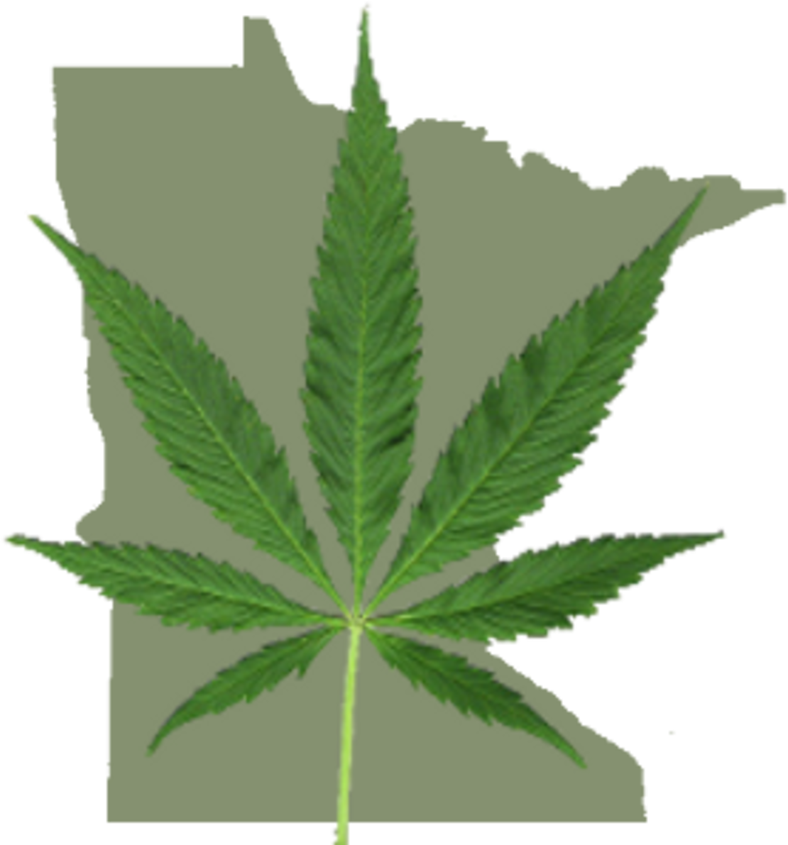 Cannabis Leaf Transparent Background PNG Image