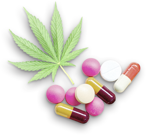 Cannabis Leafand Variety Pills Graphic PNG Image