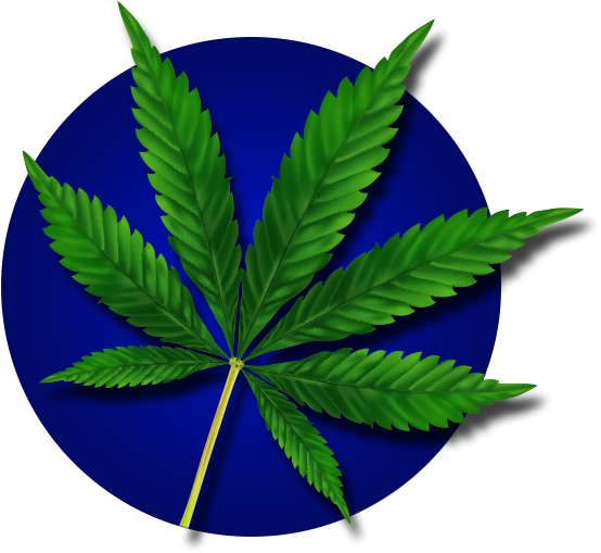 Cannabis Leafon Blue Background.png PNG Image