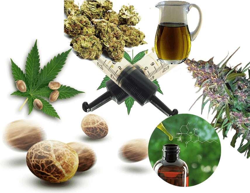 Cannabis Products Collage PNG Image