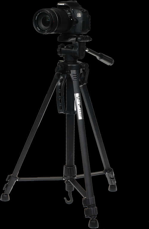 Canon D S L Ron Tripod PNG Image