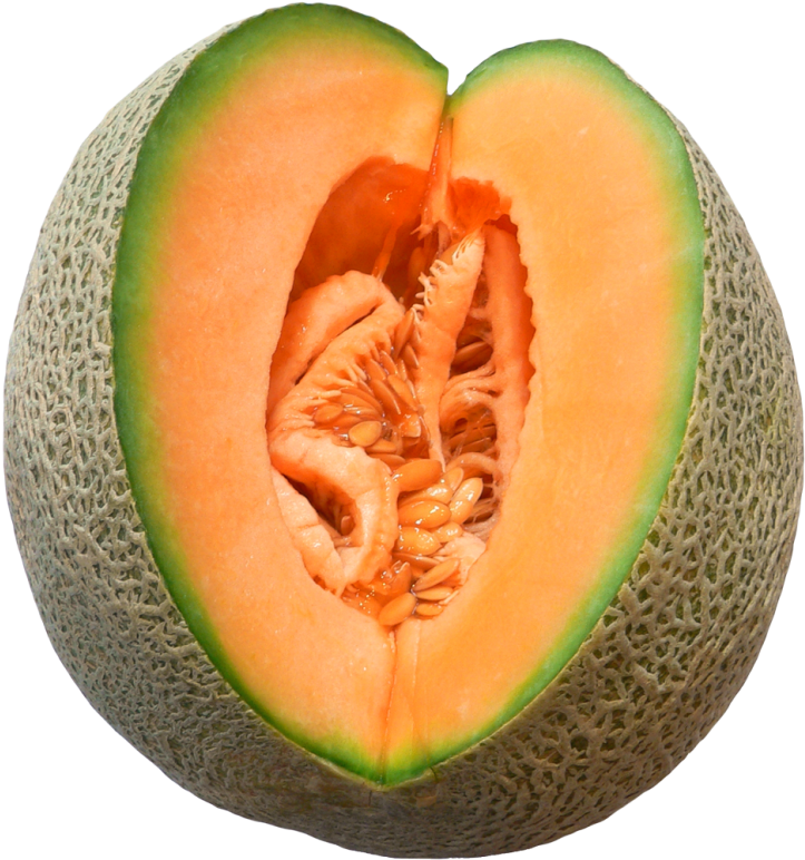 Cantaloupe Slice Revealing Seeds PNG Image