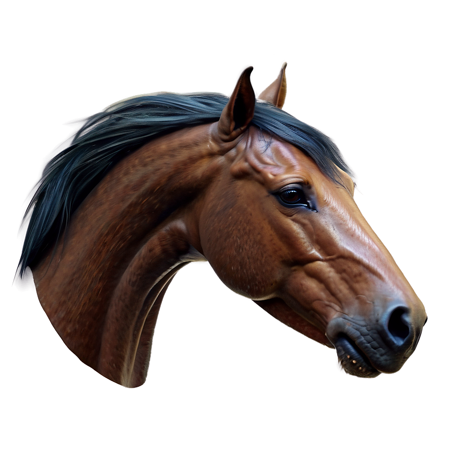 Captivating Horse Head Concept Png 50 PNG Image