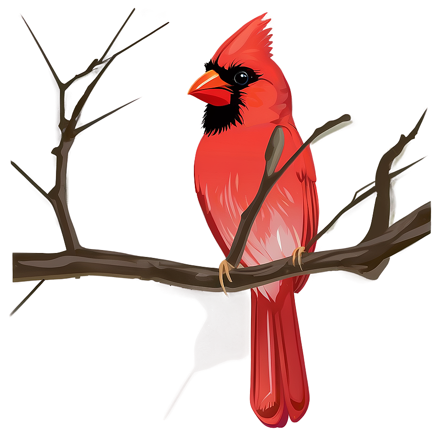 Cardinal Bird Vector Png 06252024 PNG Image