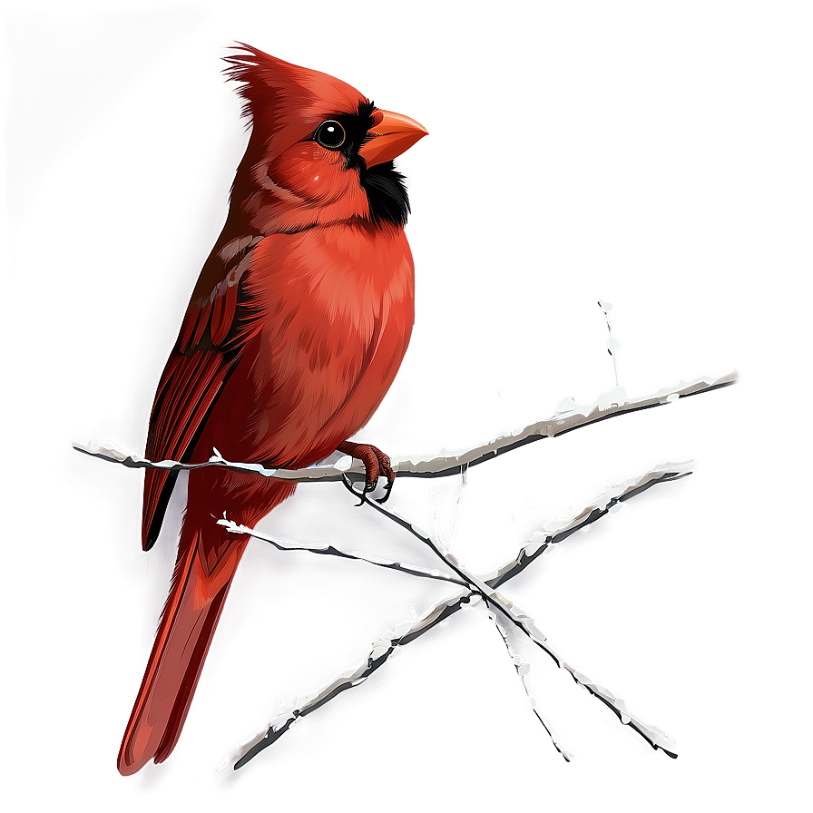 Cardinal Bird Vector Png 54 PNG Image