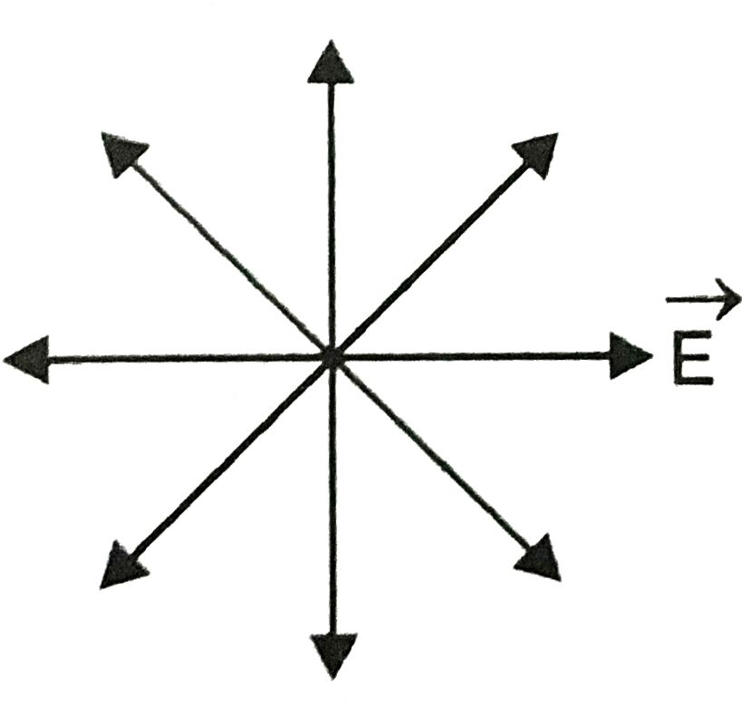 Cardinal Directions Vector Arrows PNG Image