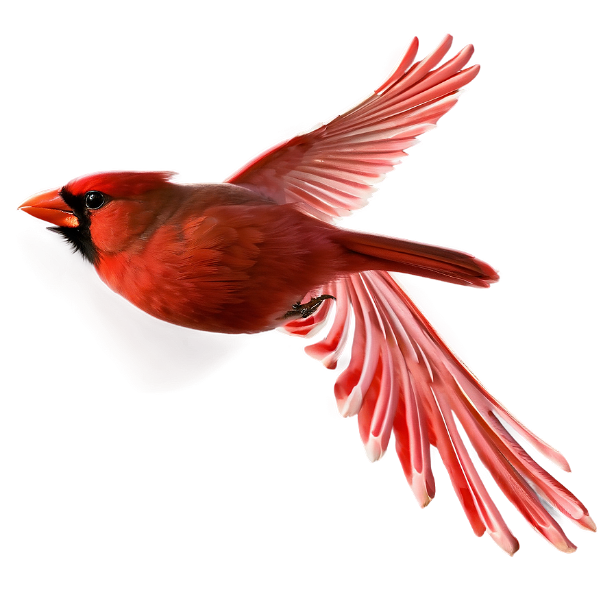 Cardinal Flying Side View Png Kga17 PNG Image