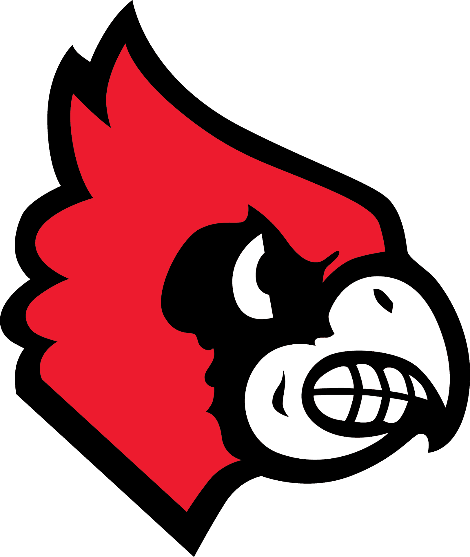 Cardinals Team Logo PNG Image