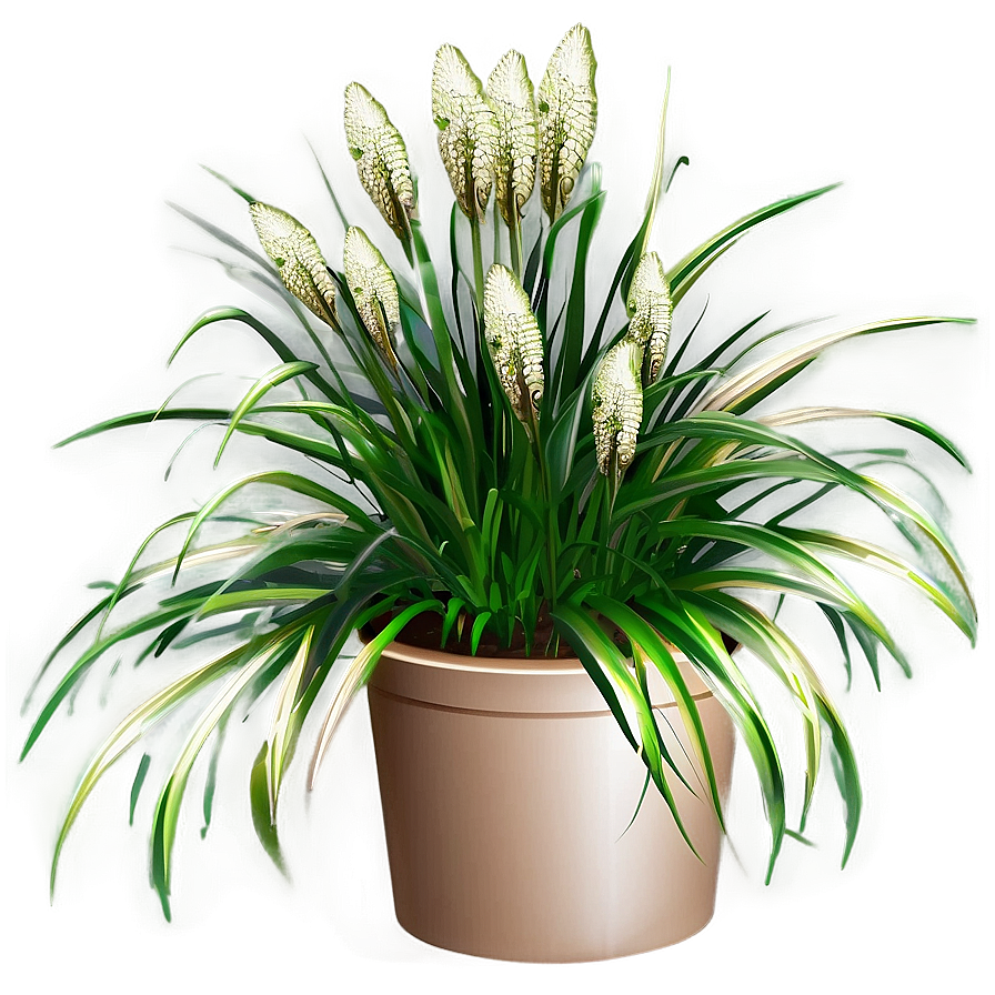 Carex Grass Decoration Png Yef95 PNG Image